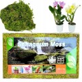 8d6ea9f1416f809c406539c2bdbe